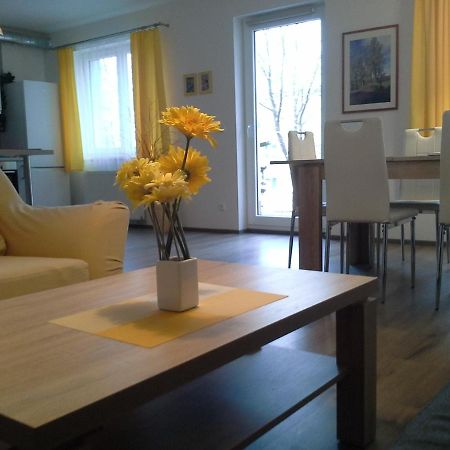 Rodinny Apartman Lucie V Blizkosti Wellness Hotelu Ve Frymburku المظهر الخارجي الصورة