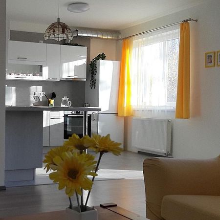 Rodinny Apartman Lucie V Blizkosti Wellness Hotelu Ve Frymburku المظهر الخارجي الصورة