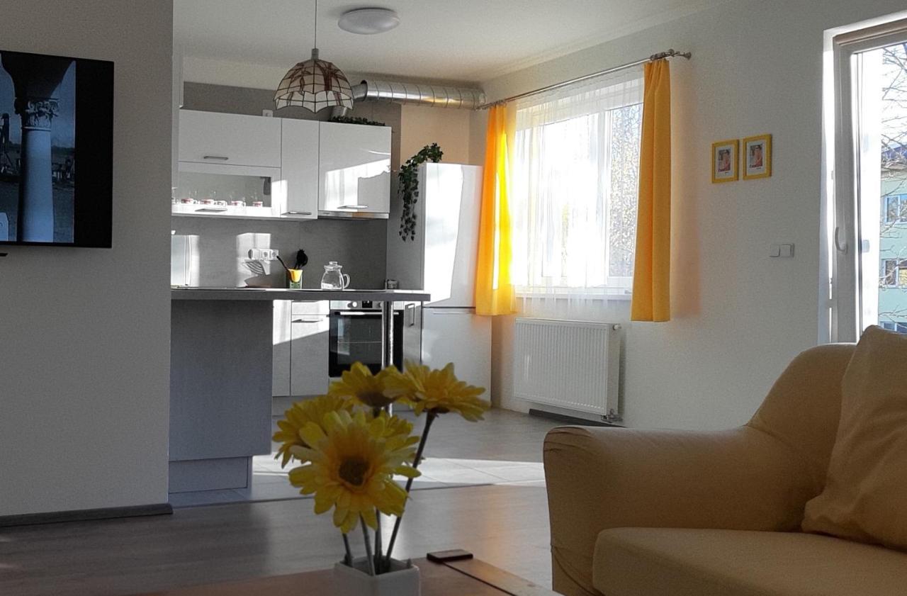 Rodinny Apartman Lucie V Blizkosti Wellness Hotelu Ve Frymburku المظهر الخارجي الصورة