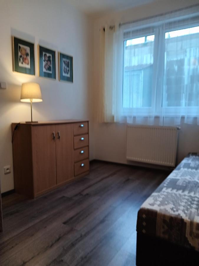 Rodinny Apartman Lucie V Blizkosti Wellness Hotelu Ve Frymburku المظهر الخارجي الصورة